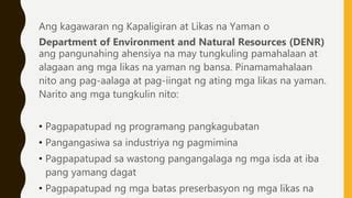 tungkulin ng kagawaran ng kapaligiran at likas na yaman